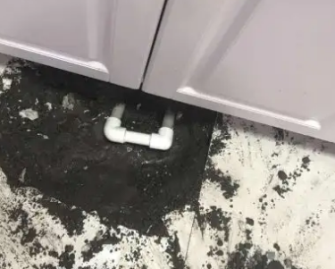 中阳查漏水哪家好